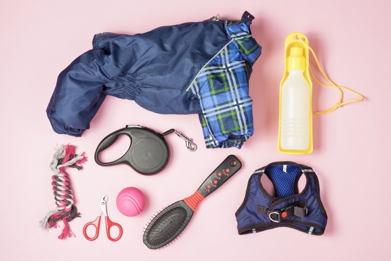 Одеваемся теплее: нужна ли любимцам зимняя одежда - Фото 2