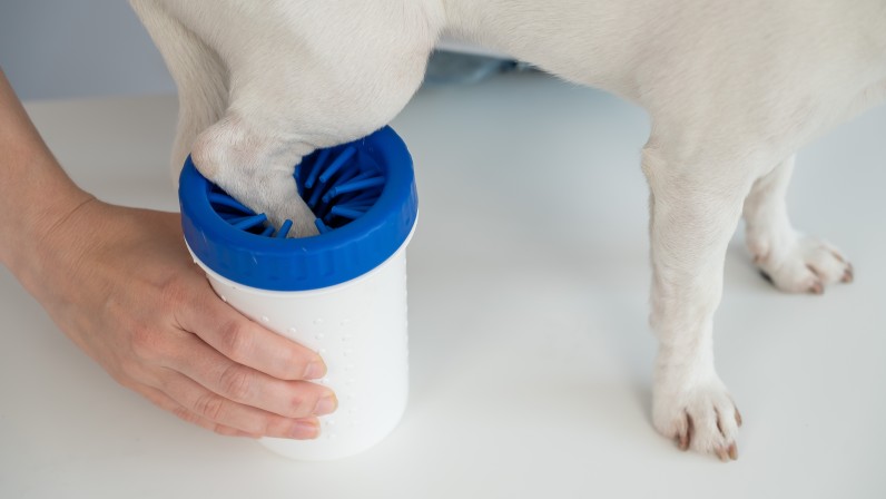 Догляд за лапами собаки - Фото 2