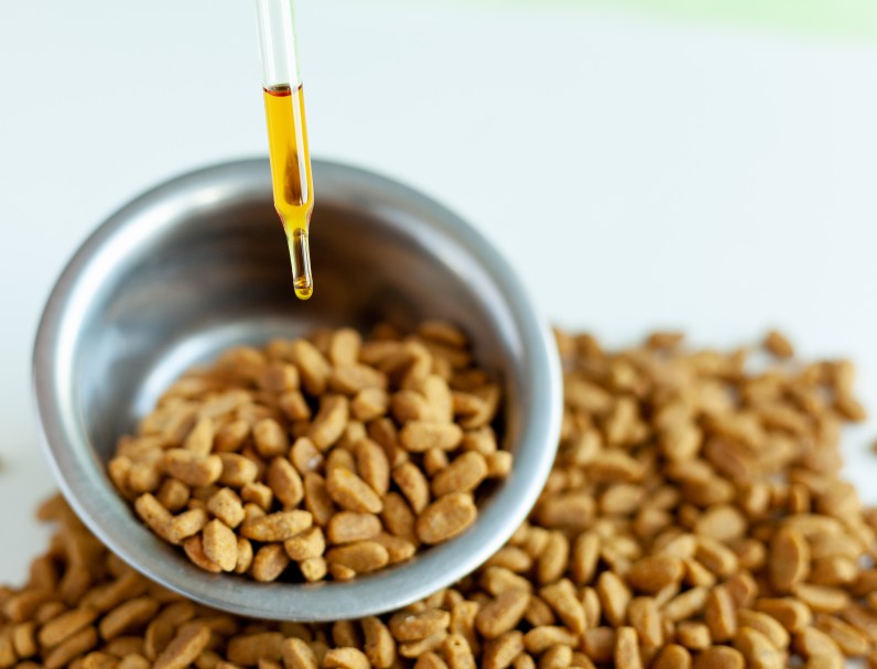 Олії в раціоні собак і котів: які можна, чим корисні та як давати улюбленцю - Фото 2